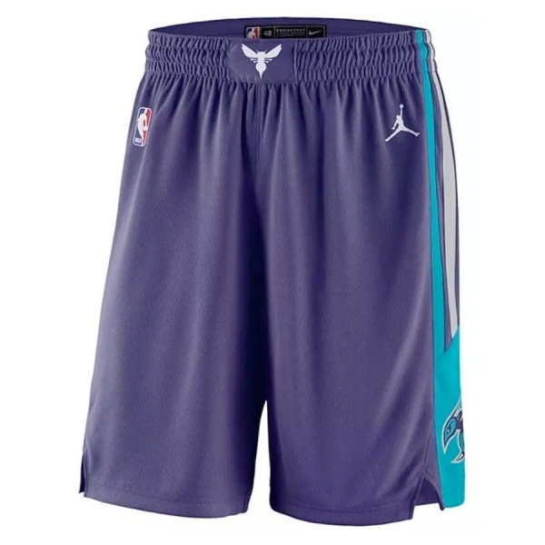 Фиолетовые баскетбольные шорты Jordan Charlotte Hornets-купить-в-time2win.ru