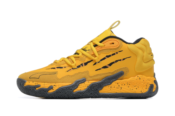 IMG_8542